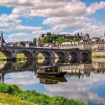 Coeur De Loire Daire Blois Dış mekan fotoğraf